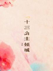 宫电视剧十三阿哥