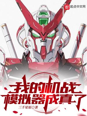 机器人大战 模拟器
