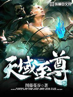 天域至尊游戏官网入口