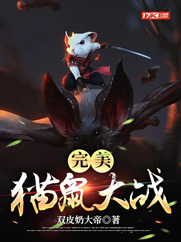 完美猫鼠大战怎么打