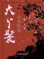 大丫鬟丫鬟