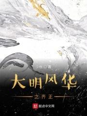 大明风华电视剧全集