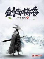 “剑雨”