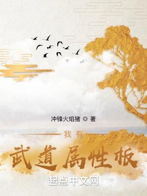 我有武道属性板TXT