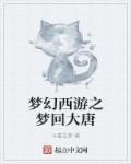 梦回大唐网游