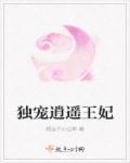 独宠王妃全文阅读