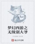 梦幻西游带无级别