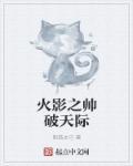 火影之盗帅传奇