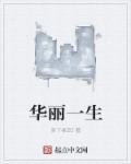 韩剧华丽人生