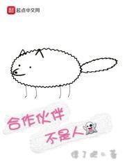 合作伙伴构成