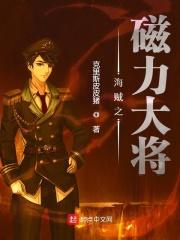 海贼王之磁力大将