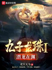 九龙珠是什么