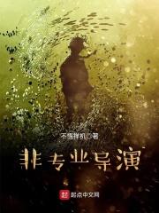 非专业导演票房却高