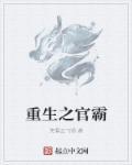 重生之官道全本阅读