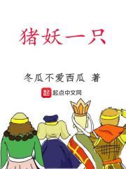 主角有一只猪妖