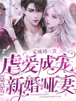 陆竟池江澜电视剧免费观看