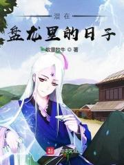 混在盘龙之巅峰一样的