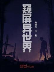 窥屏意思
