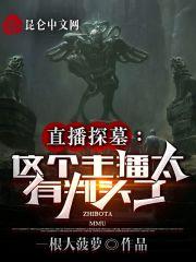 探灵直播价格