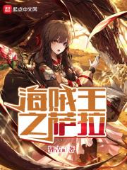 海贼王之萨卡斯基x安