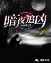 暗夜追凶在线观看全集免费高清