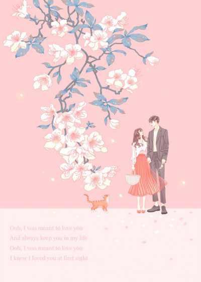 女主慕时念男主薄浅