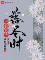 看似繁华尽失初妆