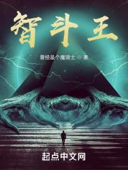 智斗追捕王