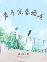 重生君爷宠妻无极限