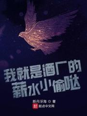 我是酒厂的啤酒