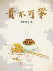 贵不可言是什么意思