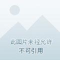 妖族的境界