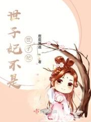 世子妃系列