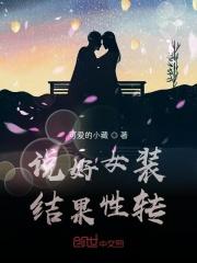 说好女装结果性转变的句子