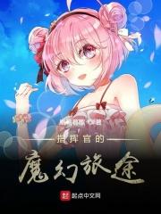 指挥官动画