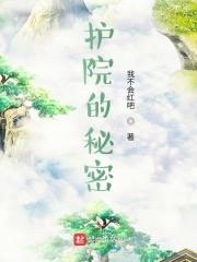 护院是干什么的