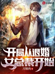 开局从退婚女总裁开始停更了