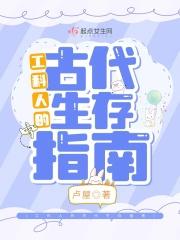 工科男在古代