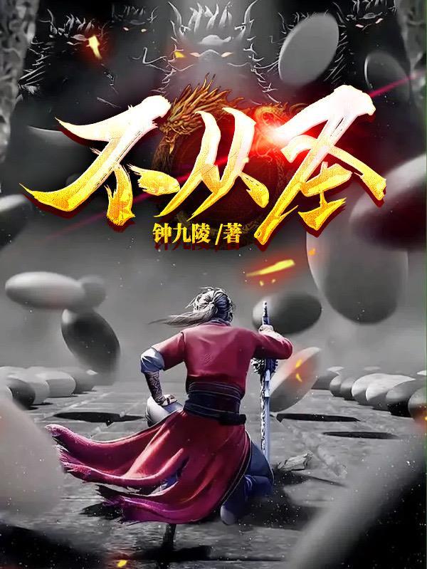 不从圣境界划分等级