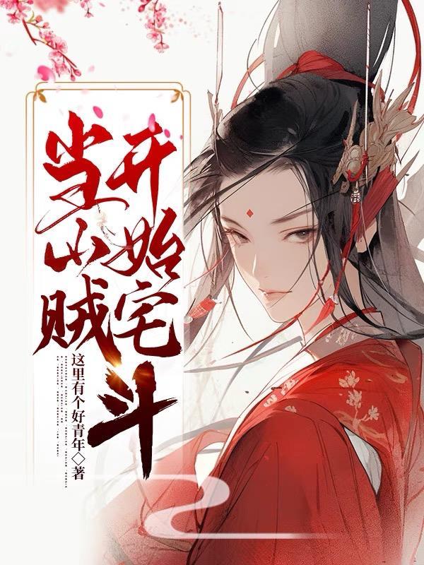 山贼二当家