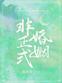非正式婚姻TXT奇书网