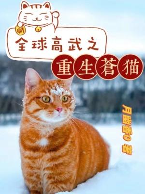 全球高武苍猫哪章出来的