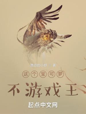 宝可梦游戏厅