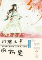 财迷王妃戏王爷