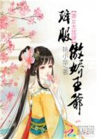 婢女和王爷