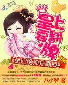 萌妃你要乖免费