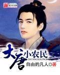 大唐逍遥小农民