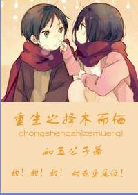 择木而栖txt