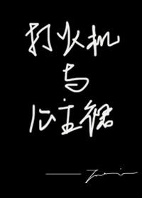 打火机与公主裙简介
