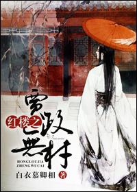 红楼之贾政传